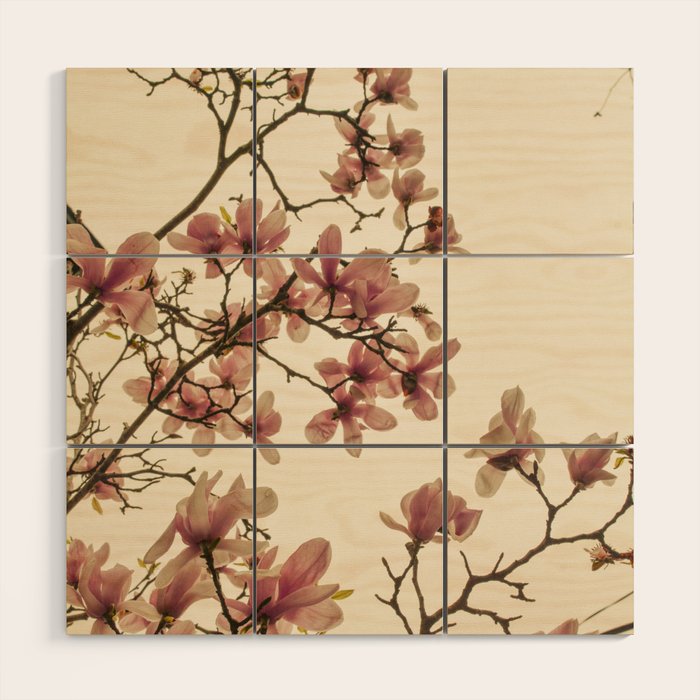 Spring in Paris Wood Wall Art Gallery Image 1