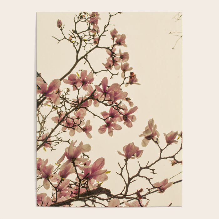 Spring in Paris Poster Gallery Image 4