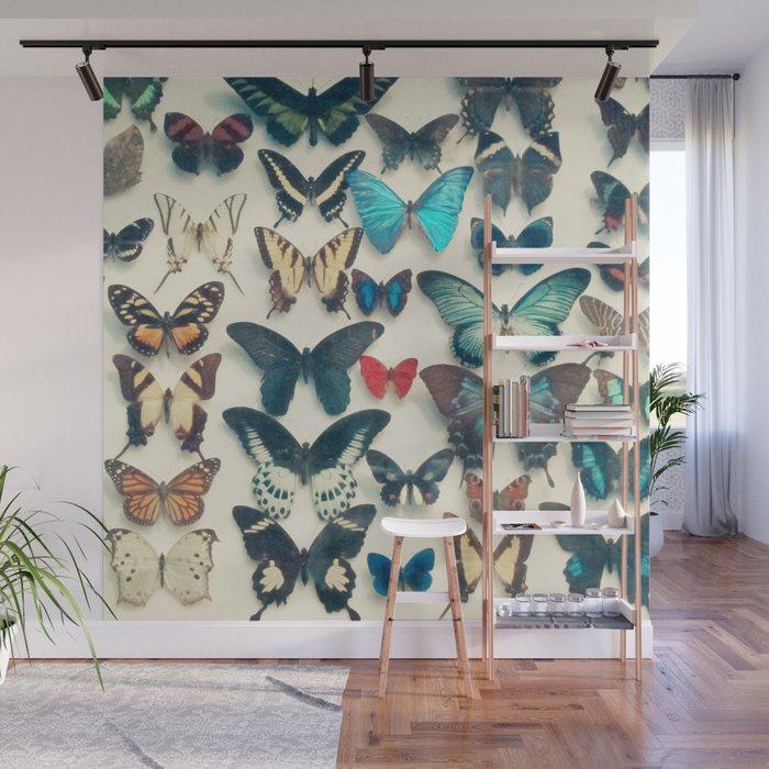 Wings Wall Mural Gallery Image 1