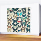Wings Wall Mural Gallery Image 2