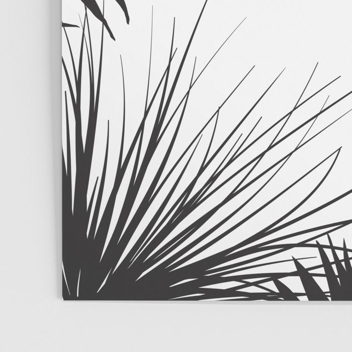Black And White Palm Leaves Poster Gallery Image 3