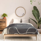 Quiet Elegance 6 Comforter Gallery Image 3