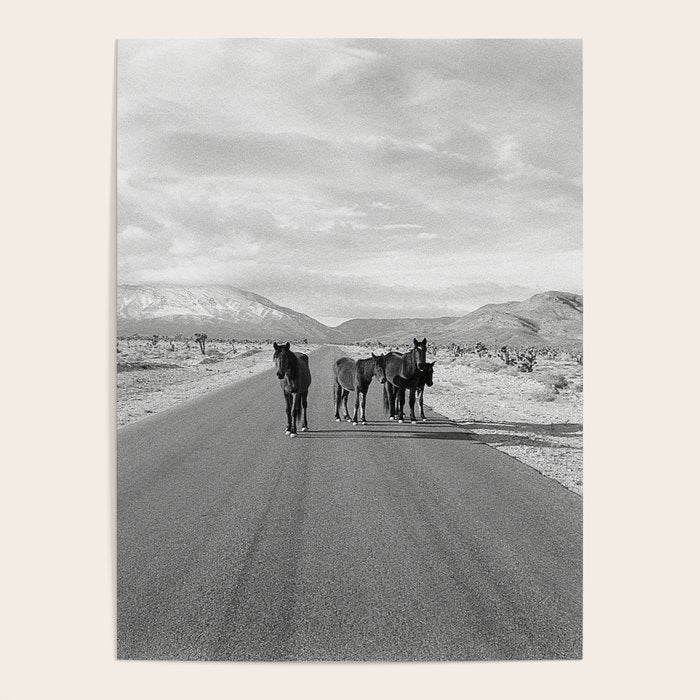 Spring Mountain Wild Horses Poster Gallery Image 4