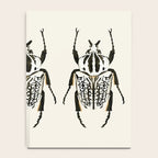  beetle insect Notebook Gallery Image 4