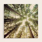 Green Forest Sky Trees Wood Wall Art Gallery Image 1