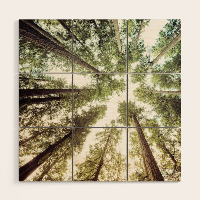 Green Forest Sky Trees Wood Wall Art Gallery Image 1