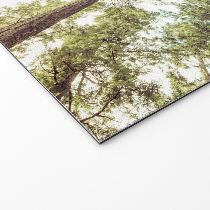 Green Forest Sky Trees Welcome Mat Gallery Image 2