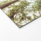 Green Forest Sky Trees Welcome Mat Gallery Image 2