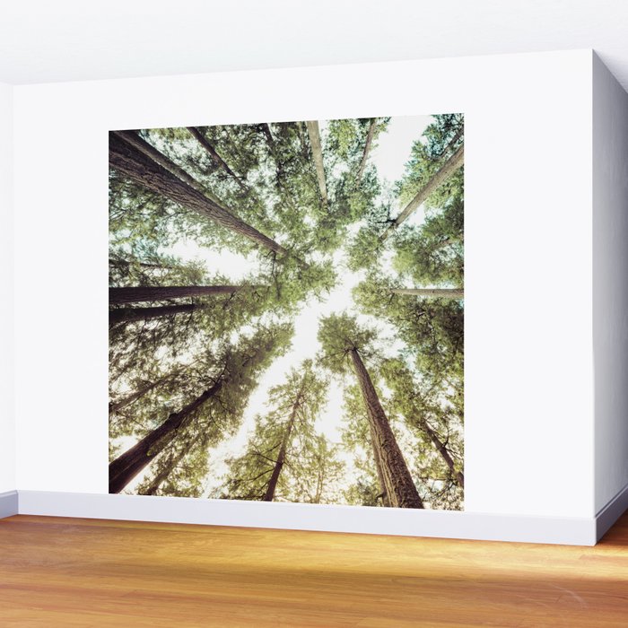 Green Forest Sky Trees Wall Mural Gallery Image 2