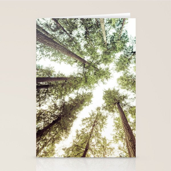 Green Forest Sky Trees Stationery Card Gallery Image 2