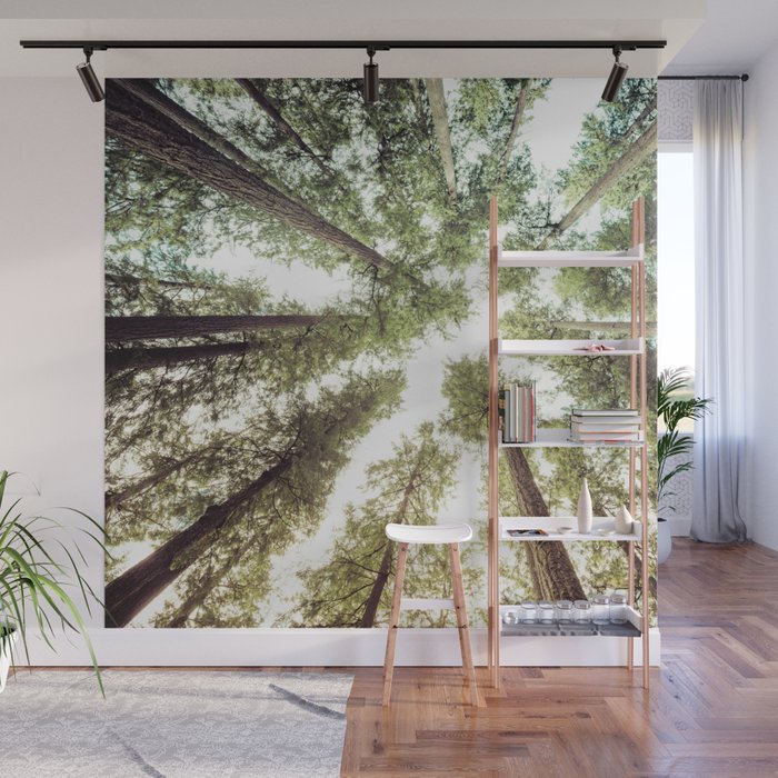 Green Forest Sky Trees Wall Mural Gallery Image 1