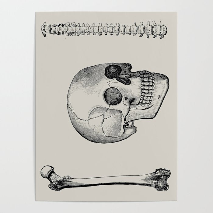 Illustrated and priced catalogue of superior surgical instruments Skull Sapine Ink Illustration Poster Gallery Image 1