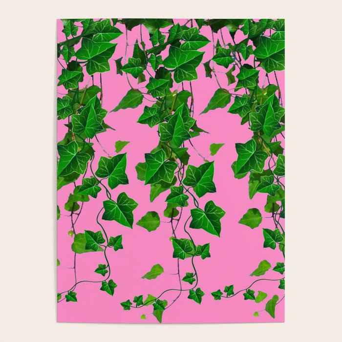 GREEN IVY HANGING LEAVES & VINES ON PINK Poster Gallery Image 4