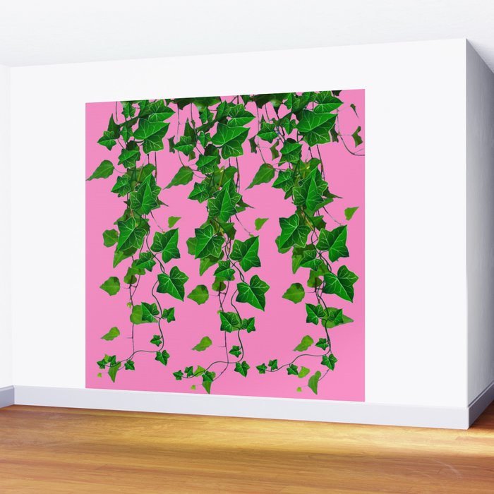GREEN IVY HANGING LEAVES & VINES ON PINK Wall Mural Gallery Image 2