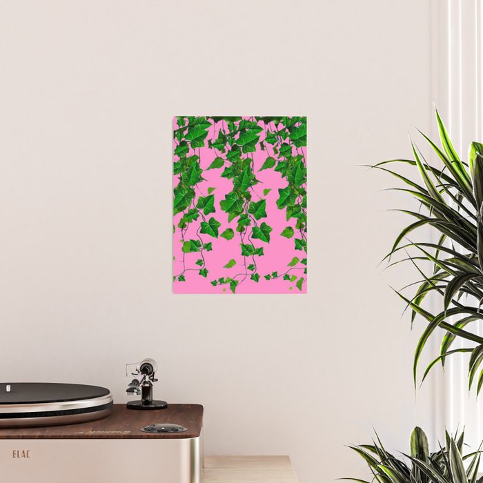 GREEN IVY HANGING LEAVES & VINES ON PINK Poster Gallery Image 2