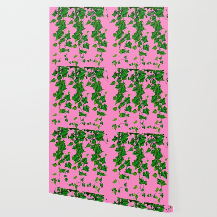 GREEN IVY HANGING LEAVES & VINES ON PINK Wallpaper Gallery Image 2
