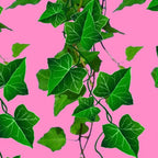 GREEN IVY HANGING LEAVES & VINES ON PINK Coffee Mug Gallery Image 2
