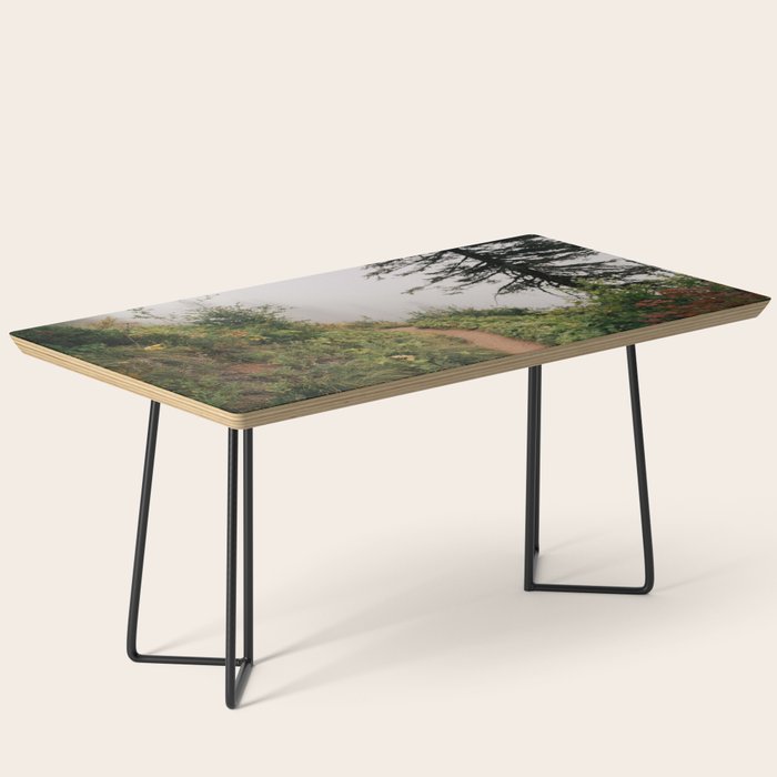 Misty Forest Path Coffee Table Gallery Image 1