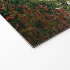Misty Forest Path Welcome Mat Gallery Image 2