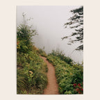 Misty Forest Path Poster Gallery Image 4