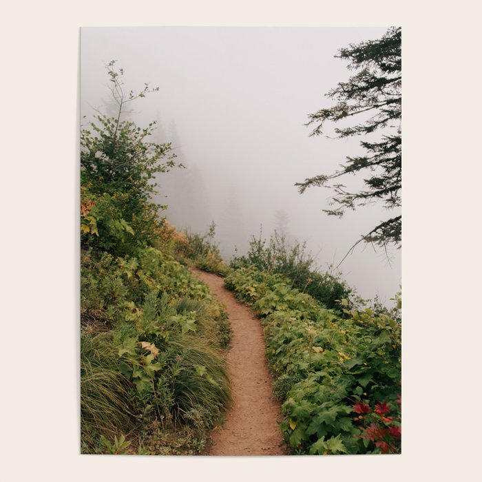 Misty Forest Path Poster Gallery Image 4