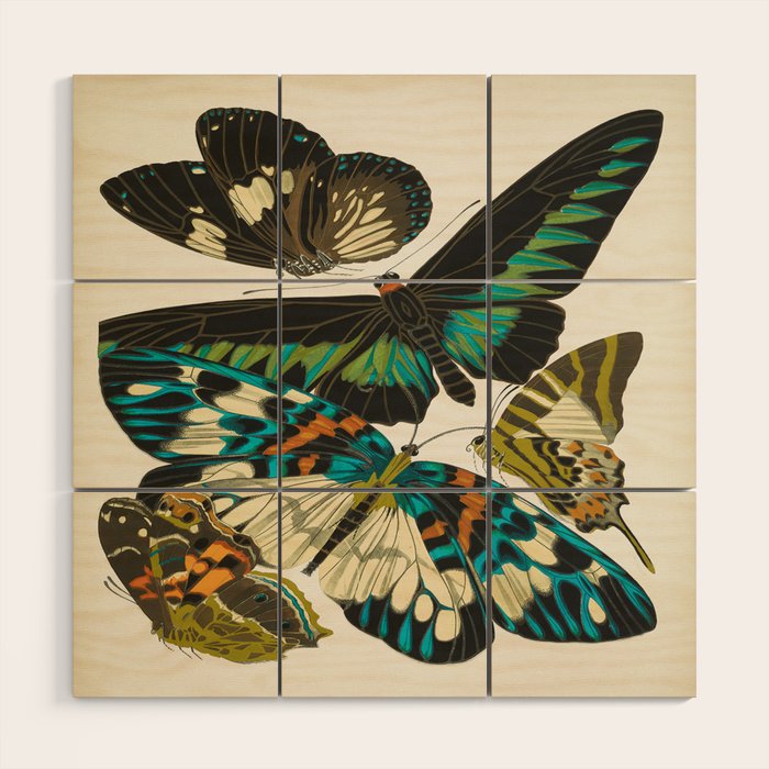 Vintage Butterfly Illustration EA Seguy Papillon Wood Wall Art Gallery Image 1