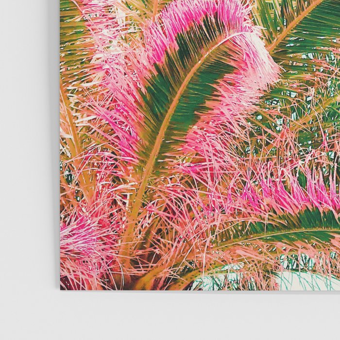 Fiesta palms Poster Gallery Image 3