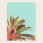 Fiesta palms Poster Gallery Image 4