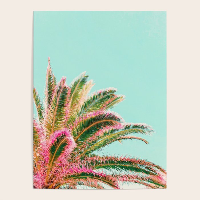 Fiesta palms Poster Gallery Image 4