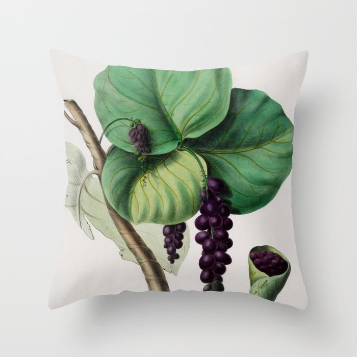 Sea grape from "Flore dâAmÃ©rique" by Ãtienne Denisse, 1840s Throw Pillow Gallery Image 6