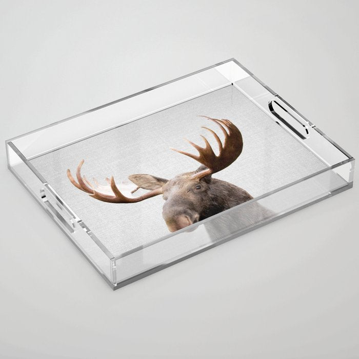 Moose - Colorful Acrylic Tray Gallery Image 1