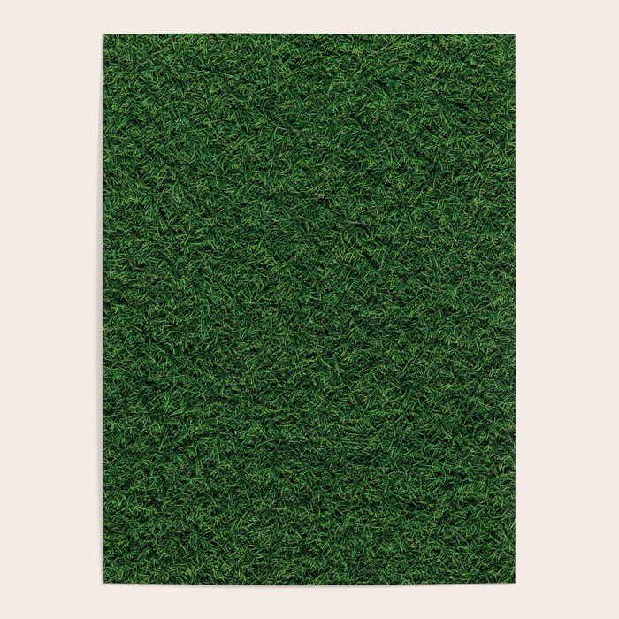 Green Grass Poster Gallery Image 4