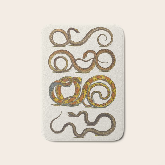 Albertus Seba Snakes Illustration  Bath Mat Gallery Image 1
