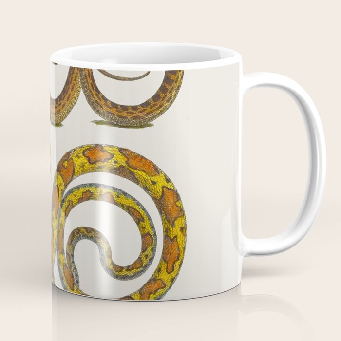 Albertus Seba Snakes Illustration  Coffee Mug Gallery Image 1