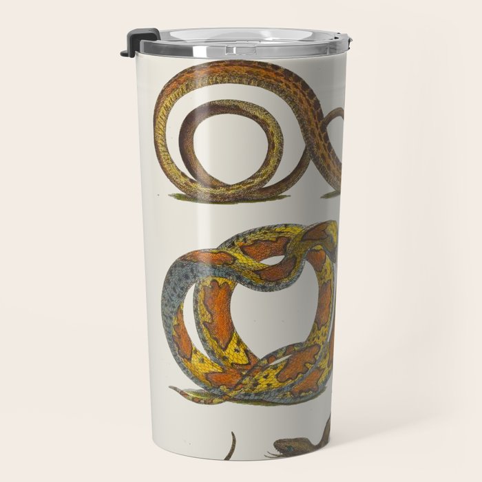 Albertus Seba Snakes Illustration  Travel Mug Gallery Image 3