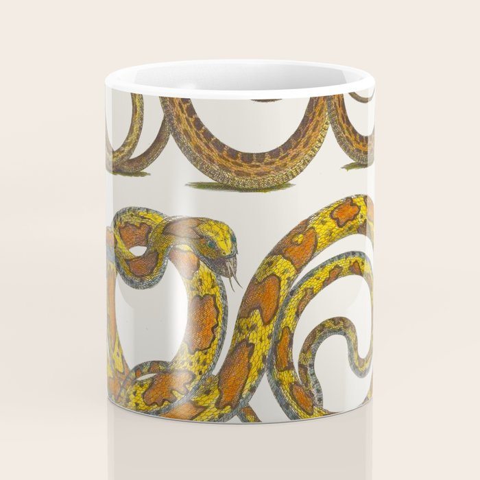 Albertus Seba Snakes Illustration  Coffee Mug Gallery Image 4