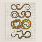 Albertus Seba Snakes Illustration  Jigsaw Puzzle Gallery Image 1