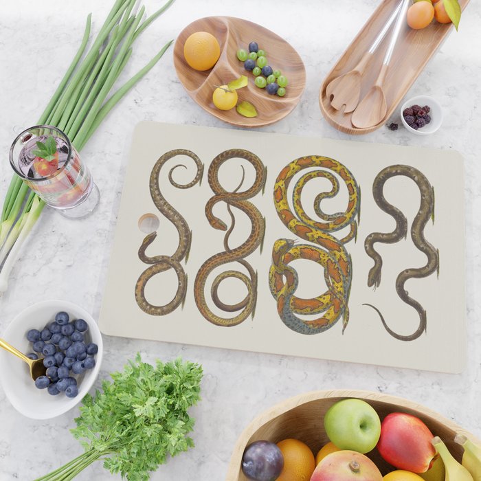 Albertus Seba Snakes Illustration  Cutting Board Gallery Image 2