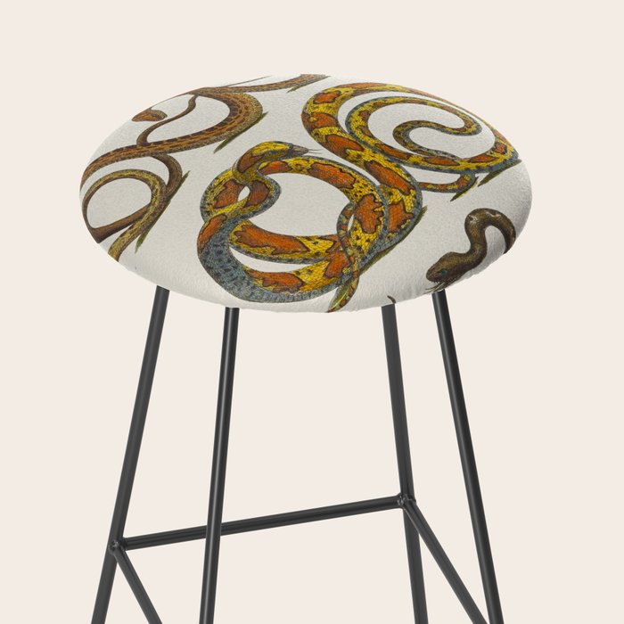 Albertus Seba Snakes Illustration  Stool Gallery Image 2