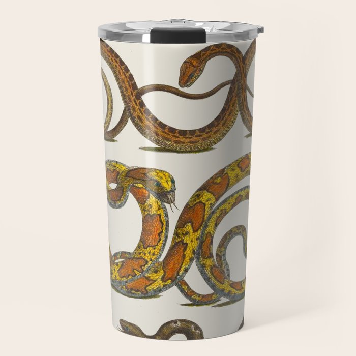 Albertus Seba Snakes Illustration  Travel Mug Gallery Image 1