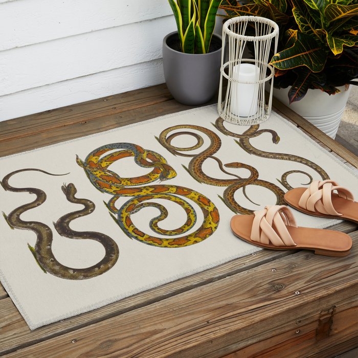 Albertus Seba Snakes Illustration  Outdoor Rug Gallery Image 2