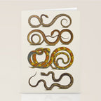 Albertus Seba Snakes Illustration  Stationery Card Gallery Image 2