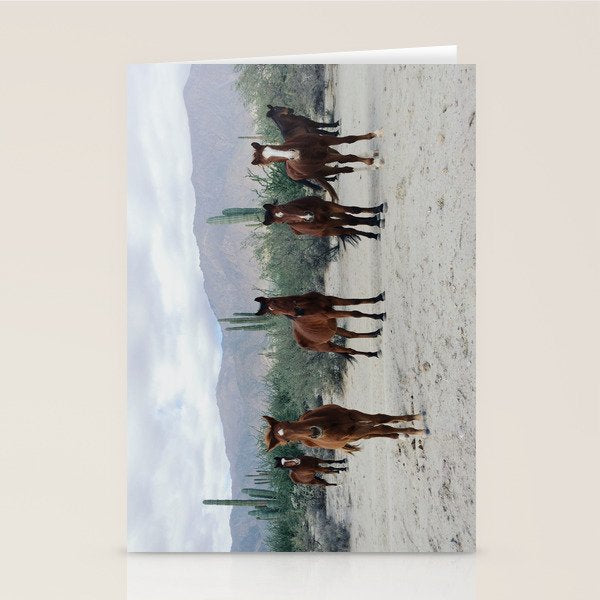 Bahía de los Ángeles Wild Horses Stationery Card Gallery Image 1