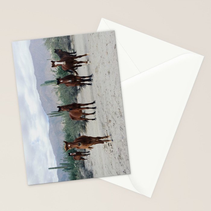 Bahía de los Ángeles Wild Horses Stationery Card Gallery Image 2