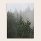 Foggy Trees Pacific Northwest Notebook Gallery Image 4