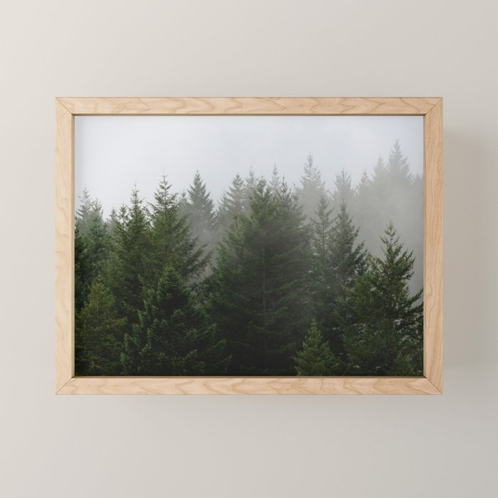 Foggy Trees Pacific Northwest Mini Art Print Gallery Image 1