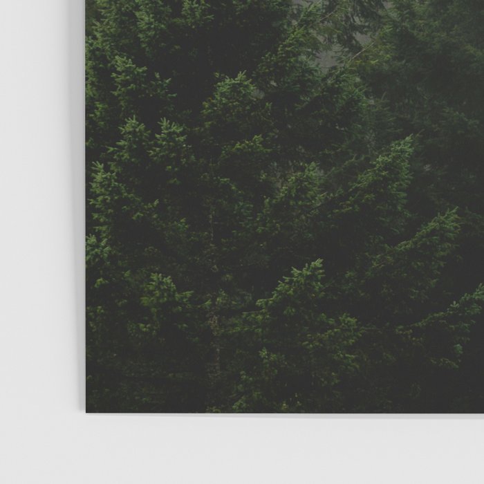 Foggy Trees Pacific Northwest Poster Gallery Image 3