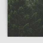 Foggy Trees Pacific Northwest Poster Gallery Image 3