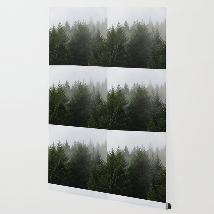 Foggy Trees Pacific Northwest Wallpaper Gallery Image 2