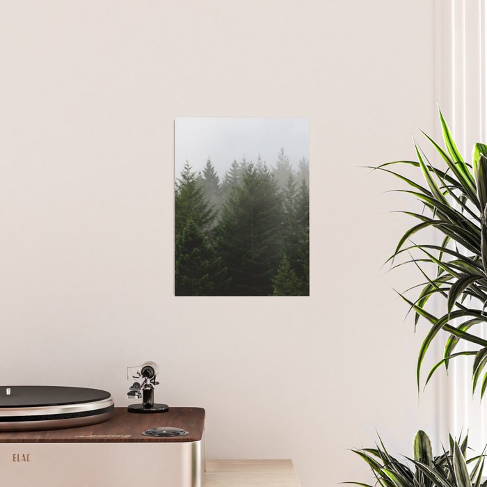 Foggy Trees Pacific Northwest Poster Gallery Image 2